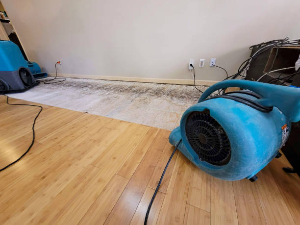 Professional Basement Flood Cleanup technician working in Aurora, MO